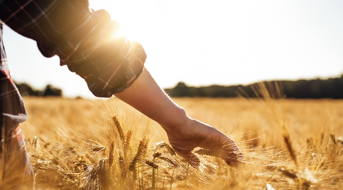 To Farm or Not to Farm? A Question for the Next Generation