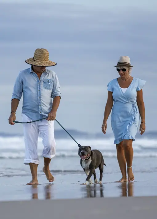 The Role of Disability Insurance in Your Financial Plan
